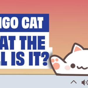 What The Hell Is Bongo Cat?!