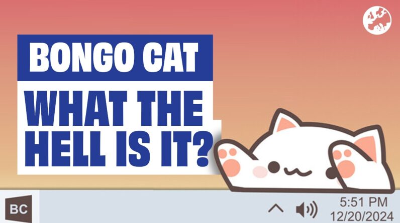 What The Hell Is Bongo Cat?!